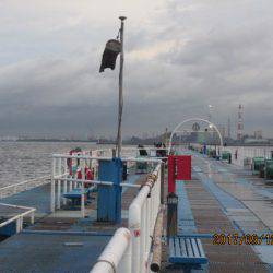 オリジナルメーカー海づり公園(市原市海づり施設) 釣果