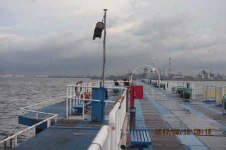 オリジナルメーカー海づり公園(市原市海づり施設) 釣果