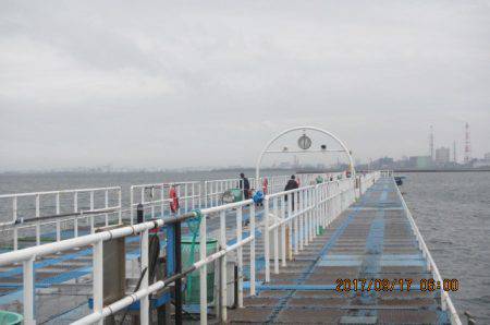 オリジナルメーカー海づり公園(市原市海づり施設) 釣果