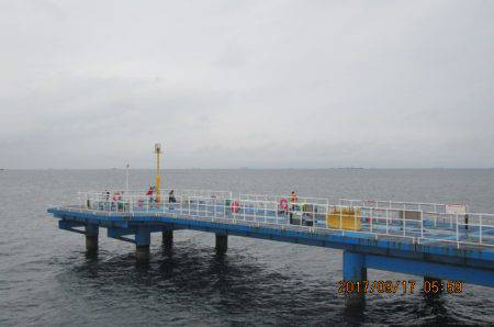 オリジナルメーカー海づり公園(市原市海づり施設) 釣果