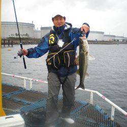 オリジナルメーカー海づり公園(市原市海づり施設) 釣果