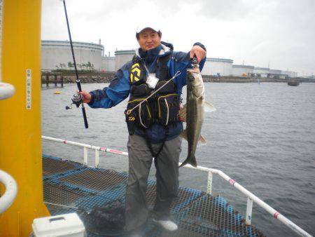 オリジナルメーカー海づり公園(市原市海づり施設) 釣果