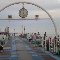 オリジナルメーカー海づり公園(市原市海づり施設) 釣果