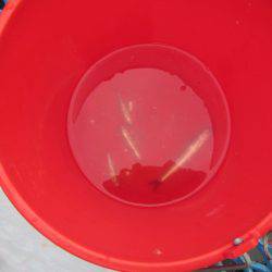 オリジナルメーカー海づり公園(市原市海づり施設) 釣果