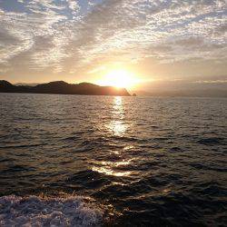 フィッシングボートACE(エース) 釣果