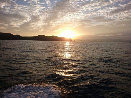 フィッシングボートACE(エース) 釣果