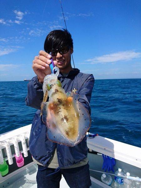 フィッシングボートACE(エース) 釣果