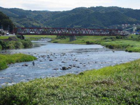 狩野川（狩野川漁業協同組合） 釣果