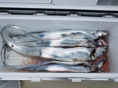 遊漁船　ニライカナイ 釣果