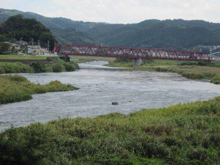 狩野川(狩野川漁業協同組合) 釣果