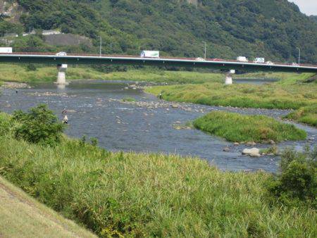 狩野川(狩野川漁業協同組合) 釣果