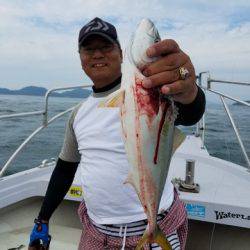 遊漁船 ニライカナイ 釣果