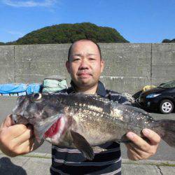 大進丸(新潟) 釣果