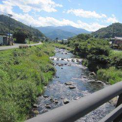 狩野川(狩野川漁業協同組合) 釣果