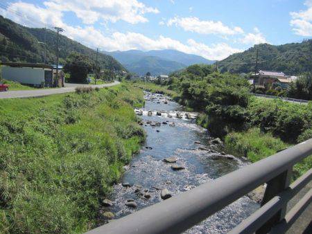 狩野川(狩野川漁業協同組合) 釣果