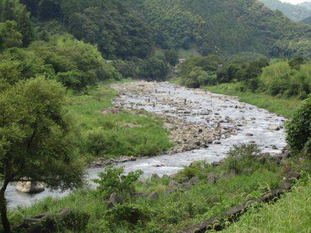 狩野川(狩野川漁業協同組合) 釣果
