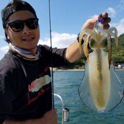 Magic（マジック） 釣果