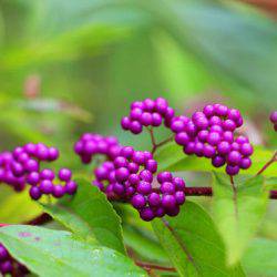 小菅トラウトガーデン 釣果