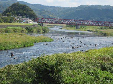 狩野川（狩野川漁業協同組合） 釣果
