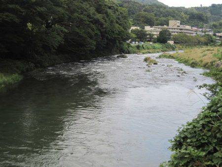 狩野川(狩野川漁業協同組合) 釣果