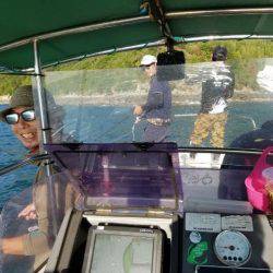 Magic（マジック） 釣果