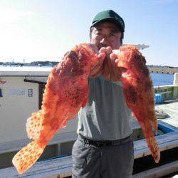 大進丸(新潟) 釣果