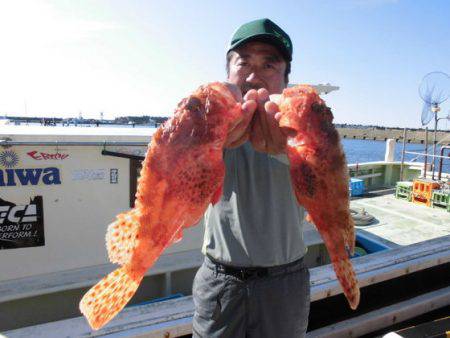 大進丸（新潟） 釣果