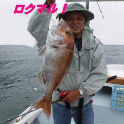 遊漁船 幸友丸 釣果