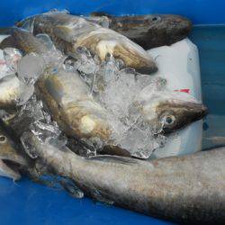 こうゆう丸 釣果