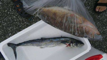 遊漁船 新鋭丸 釣果