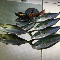 ふじしめ丸 釣果