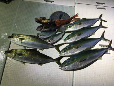 ふじしめ丸 釣果