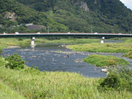 狩野川(狩野川漁業協同組合) 釣果