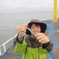 オリジナルメーカー海づり公園(市原市海づり施設) 釣果