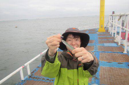 オリジナルメーカー海づり公園(市原市海づり…