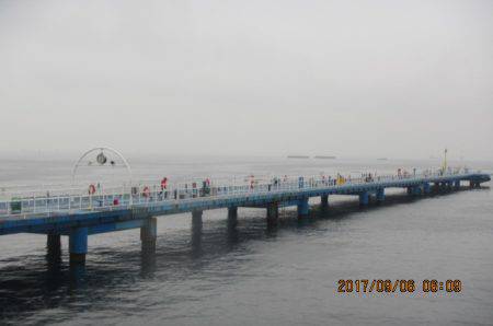 オリジナルメーカー海づり公園(市原市海づり施設) 釣果