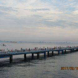 オリジナルメーカー海づり公園(市原市海づり施設) 釣果