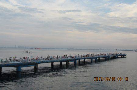 オリジナルメーカー海づり公園(市原市海づり施設) 釣果