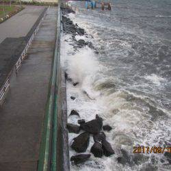 オリジナルメーカー海づり公園(市原市海づり施設) 釣果