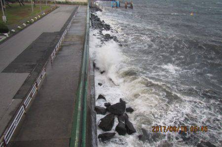オリジナルメーカー海づり公園(市原市海づり施設) 釣果