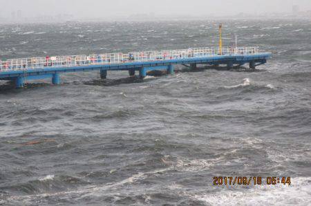 オリジナルメーカー海づり公園(市原市海づり施設) 釣果