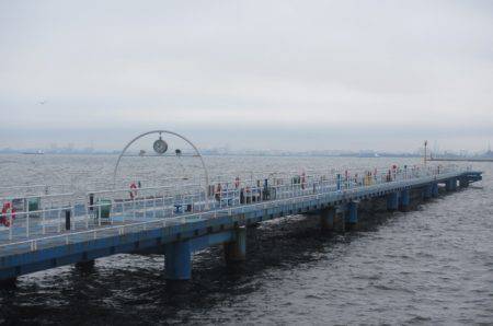 オリジナルメーカー海づり公園(市原市海づり施設) 釣果