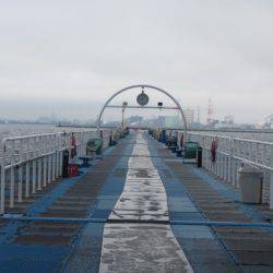 オリジナルメーカー海づり公園(市原市海づり施設) 釣果