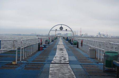 オリジナルメーカー海づり公園(市原市海づり施設) 釣果