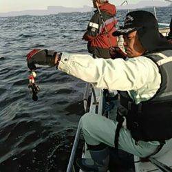 フィッシングガイド りょう 釣果