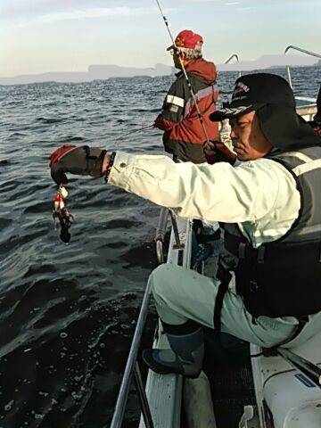 フィッシングガイド りょう 釣果