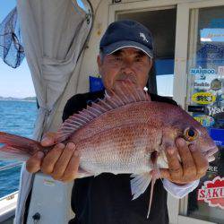 遊漁船 ニライカナイ 釣果