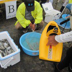 狩野川(狩野川漁業協同組合) 釣果