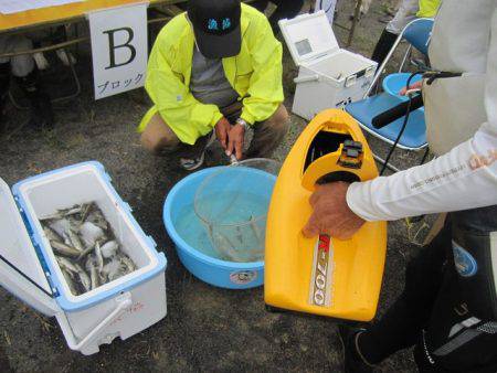 狩野川(狩野川漁業協同組合) 釣果