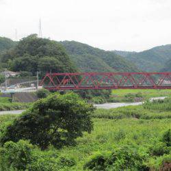 狩野川(狩野川漁業協同組合) 釣果